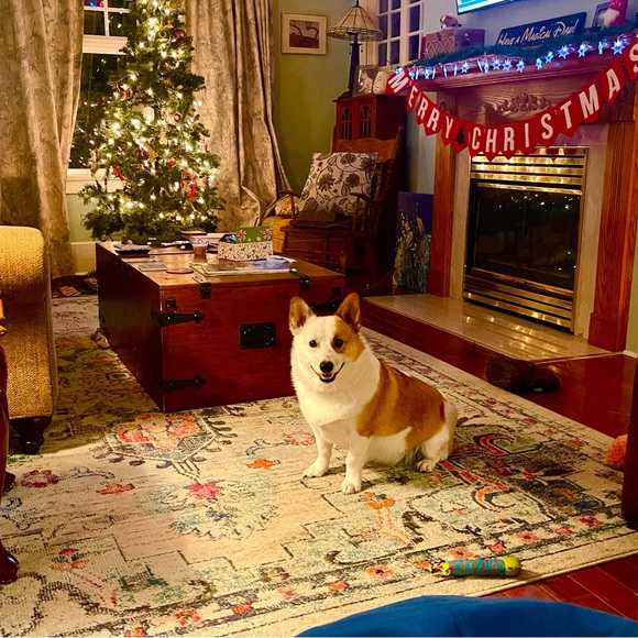 Meet your Posher, Lisa - Picture 5 of 13